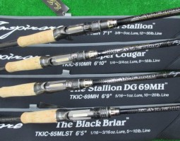 エバーグリーン・カレイド・インスピラーレ入荷（豊中店）