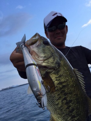 ジョイクロフィッシュ