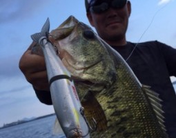 釣果情報!(IN琵琶湖) 茨木店 釣果情報!(IN琵琶湖) 茨木店