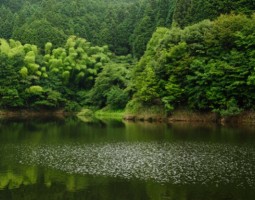 釣果報告　布目ダム（バス釣り）＆フォトトーナメント結果報告　（高槻店）