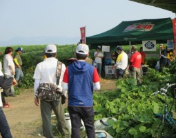2015年NBC岸釣りトーナメント第4戦道楽箱CUP 2015年NBC岸釣りトーナメント第4戦道楽箱CUP