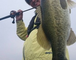 釣果情報　琵琶湖