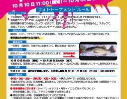 道楽箱豊中店 フォトトーナメント開催!!! 道楽箱豊中店 フォトトーナメント開催!!!