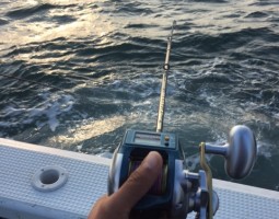 太刀魚テンヤ釣り（豊中店）