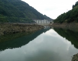 釣果情報 バス&アジング (高槻店) 釣果情報 バス&アジング (高槻店)