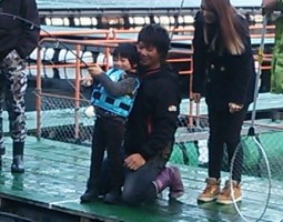 釣果報告 海上釣堀 福井県 フィッシングランド日向 (高槻店) 釣果報告 海上釣堀 福井県 フィッシングランド日向 (高槻店)