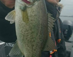 琵琶湖ボート（豊中店・栗東店）