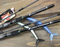 フォーザビースト入荷! フォーザビースト入荷!