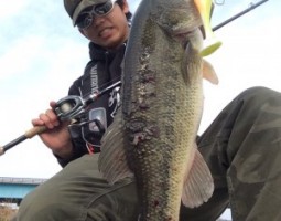 紀ノ川ボートフィッシング（茨木店）