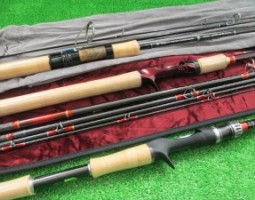 ワールドシャウラ / ポイズングロリアス / パラゴン 入荷致しました。（オンラインストア）