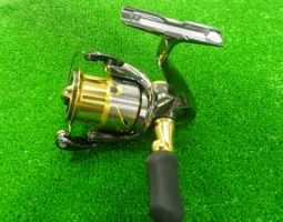 １４ステラ・パームス/モーラ・スティーズ/ライトニング・ハートランドＺ（茨木店）