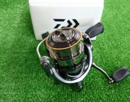 ルビアス２５０８　ホワイトウルフリミテッド　Ｐａｒａｇｏｎ７４３　（高槻店）