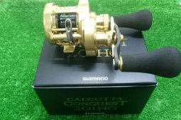 カルカッタ コンクエスト・レーベン・ヴォルキー（茨木店）