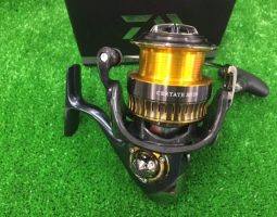 16セルテート BB-Xテクニウム 13ステラSW(豊中店) 16セルテート BB-Xテクニウム 13ステラSW(豊中店)