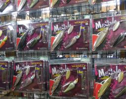 メガロドーン入荷! 栗東店 メガロドーン入荷! 栗東店