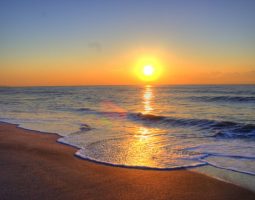 あけましておめでとうございます。(幕張店) あけましておめでとうございます。(幕張店)