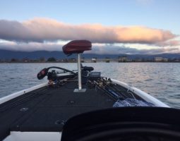 釣果情報～琵琶湖ボート～（豊中店）