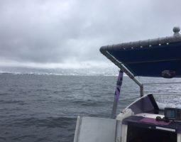 釣果情報～琵琶湖・ビワマス釣り～（豊中店）