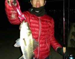 シーバス釣果情報！（幕張店）