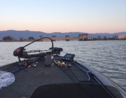 釣果情報～琵琶湖ボート～（豊中店）