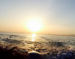 釣果情報~琵琶湖ボート(豊中店) 釣果情報~琵琶湖ボート(豊中店)