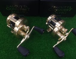 コンクエスト１０１ＨＧ・２０１ＨＧ/スティーズリミテッドＴＮ（豊中店）