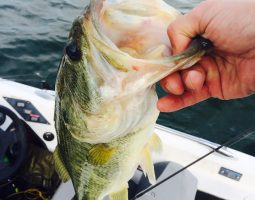 琵琶湖ボート(豊中店) 琵琶湖ボート(豊中店)