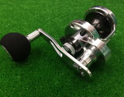 キャタリナ、カルカッタコンクエスト（豊中店）