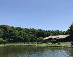 トラウト釣果情報! トラウト釣果情報!