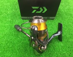 セルテート/オシアコンクエスト/スティーズ（豊中店）