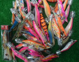 いろいろ入荷しました(茨木店) いろいろ入荷しました(茨木店)