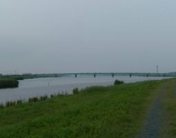 霞水系ブラックバス釣果情報（幕張店）