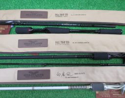 ハートランド、凛牙入荷 ハートランド、凛牙入荷