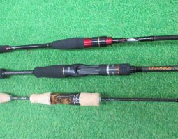 ゾディアス・月下美人MX 入荷!(栗東店) ゾディアス・月下美人MX 入荷!(栗東店)