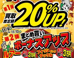 テムジン ワイルドスタリオン カレイド アウリープ ドリームス 夢墨 RV 入荷(茨木店) テムジン ワイルドスタリオン カレイド アウリープ ドリームス 夢墨 RV 入荷(茨木店)