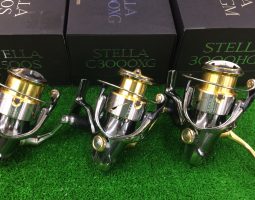 １４ステラ/ルードバイパー（豊中店）