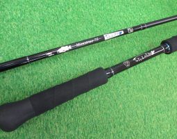 モンストロ75 他入荷!(栗東店) モンストロ75 他入荷!(栗東店)