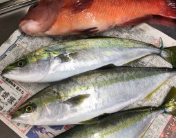 明石オフショアジギング・中古ジグコーナー（三田店）