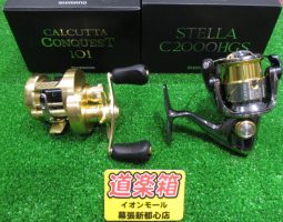 カルカッタコンクエスト、ステラ、アンタレス…等　大量入荷！（幕張店）