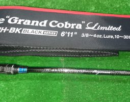 グランドコブラ　ロウディーラ　ルビアス　T3 　ソルトルアー入荷（茨木店）