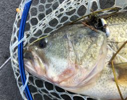 2018年釣初め～琵琶湖ボート～（豊中店）