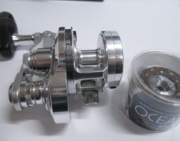 本日の入荷情報を、ご案内致します。(オンラインショップ) 本日の入荷情報を、ご案内致します。(オンラインショップ)