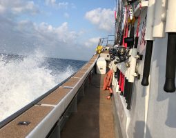 九州遠征～オフショアジギング・キャスティング～（豊中店）