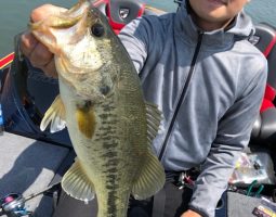 釣果情報～琵琶湖ボート～（豊中店）