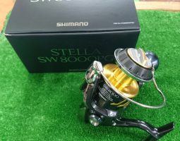 13ステラＳＷ　8000ＰＧ　１３バイオマスターＳＷ　8000ＰＧ入荷（茨木店）　