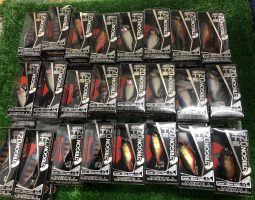 新品 TN トリゴン 入荷しました。 (茨木店) 新品 TN トリゴン 入荷しました。 (茨木店)