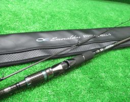 本日の入荷情報を、ご案内致します。(オンラインストア) 本日の入荷情報を、ご案内致します。(オンラインストア)