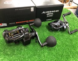 ビックシューター　アルデバラン　ワールドシャウラ　カイエイ　ワイルドサイド　等　(茨木店）