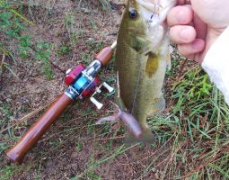 釣果情報(三田店) 釣果情報(三田店)