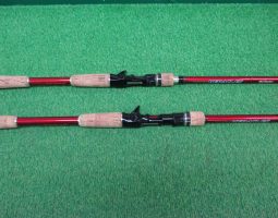 ヘラクレス入荷！！（栗東店）